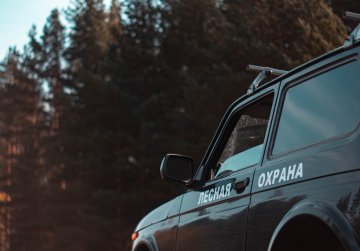 Для оценки состояния нижегородских лесов проведено лесопатологическое обследование на площади более 3 тысяч гектаров Для оценки состояния нижегородских лесов проведено лесопатологическое обследование на площади более 3 тысяч гектаров