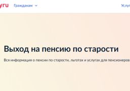 Нижегородцы могут получить электронное свидетельство пенсионера с помощью сервиса «Жизненные ситуации» на портале госуслуг