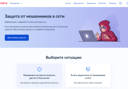 Цифровой сервис «Защита от мошенников в сети» доступен для нижегородцев на «Госуслугах»