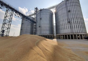 План по производству зерна, картофеля и сахарной свеклы перевыполнен в Нижегородской области