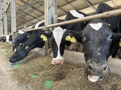 На 19% увеличилась выработка у нижегородского сельхозпроизводителя благодаря федпроекту «Производительность труда» На 19% увеличилась выработка у нижегородского сельхозпроизводителя благодаря федпроекту «Производительность труда»