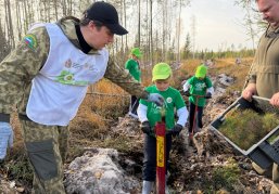 Более 10 тысяч сеянцев сосны высадили в Уренском лесничестве в рамках всероссийской акции «Сохраним лес» Более 10 тысяч сеянцев сосны высадили в Уренском лесничестве в рамках всероссийской акции «Сохраним лес»