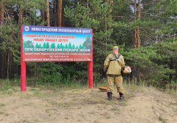 В лесах Нижегородской области оборудовано более трех тысяч мест отдыха для обеспечения пожарной безопасности В лесах Нижегородской области оборудовано более трех тысяч мест отдыха для обеспечения пожарной безопасности