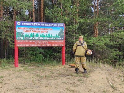 В лесах Нижегородской области оборудовано более трех тысяч мест отдыха для обеспечения пожарной безопасности