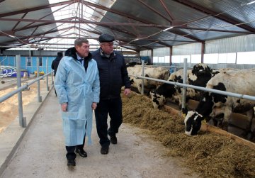 Новая роботизированная ферма на 140 молочных коров запущена в фермерском хозяйстве в Арзамасе Нижегородской области