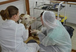 30 работников АПК Нижегородской области с начала 2025 года получили по 2 млн рублей для приобретения жилья 30 работников АПК Нижегородской области с начала 2025 года получили по 2 млн рублей для приобретения жилья