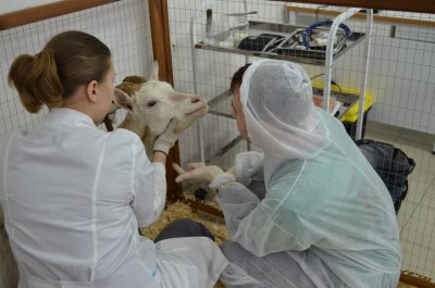 30 работников АПК Нижегородской области с начала 2025 года получили по 2 млн рублей для приобретения жилья