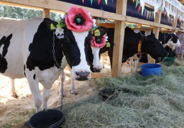Организации АПК Нижегородской области приглашаются на выставку «День поля-2025» в качестве участников