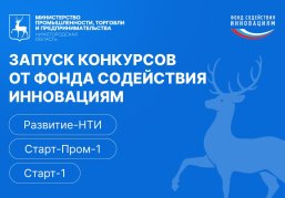  До 40 млн рублей могут получить нижегородские предприниматели на развитие инновационных проектов
