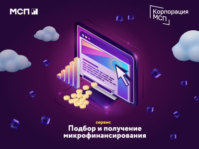 113 млн рублей получили нижегородские предприниматели в виде льготных займов с помощью платформы МСП.РФ за I полугодие 2024 года