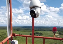 Количество камер в лесах Нижегородской области увеличено до 205 Количество камер в лесах Нижегородской области увеличено до 205
