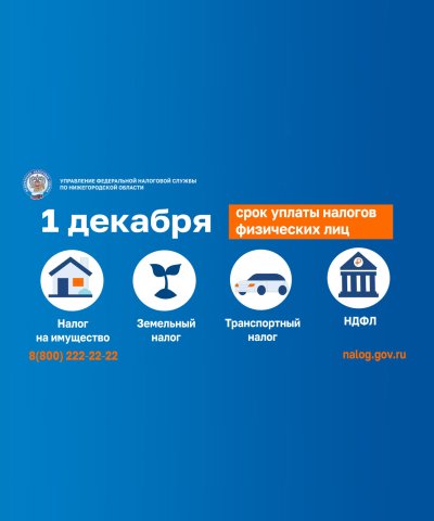 1 декабря 2025 года — срок уплаты налогов физических лиц 1 декабря 2025 года — срок уплаты налогов физических лиц