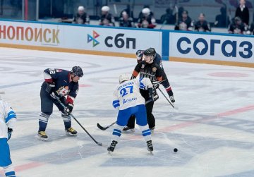В Нижнем Новгороде прошел турнир по хоккею среди женских команд, посвященный 100-летию региональной организации «Динамо»