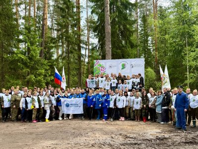 В Арзамасском округе высадили более 17 тысяч сосен в рамках акции «Сад Памяти» В Арзамасском округе высадили более 17 тысяч сосен в рамках акции «Сад Памяти»