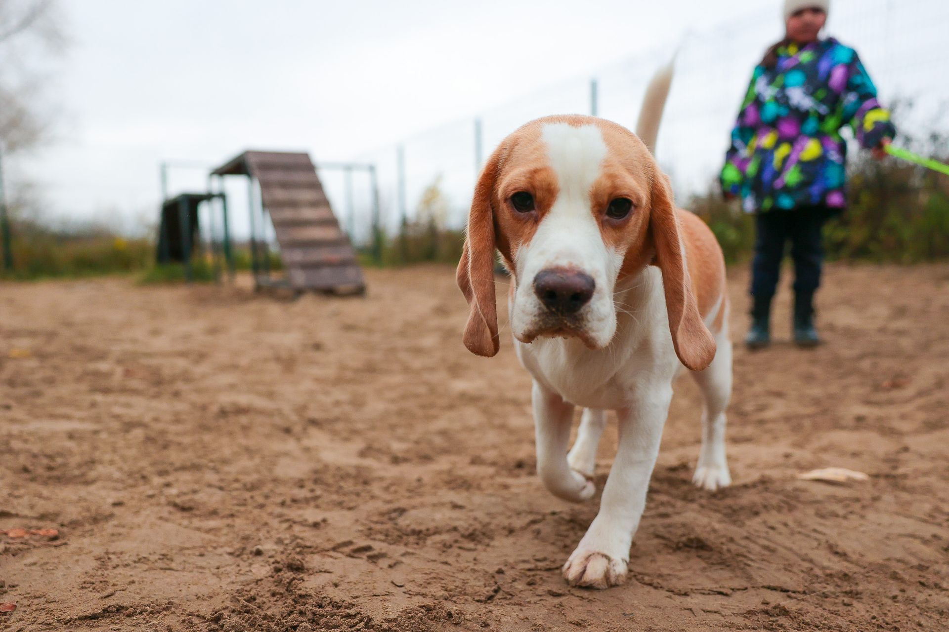 При поддержке социальных участковых в Нижнем Новгороде благоустроили сквер на улице Космической При поддержке социальных участковых в Нижнем Новгороде благоустроили сквер на улице Космической