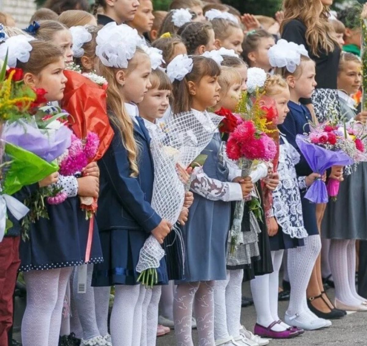 Школьное образование