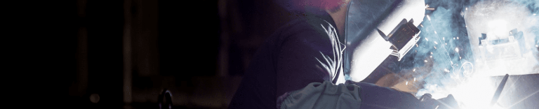 Особая экономическая зона Кулибин