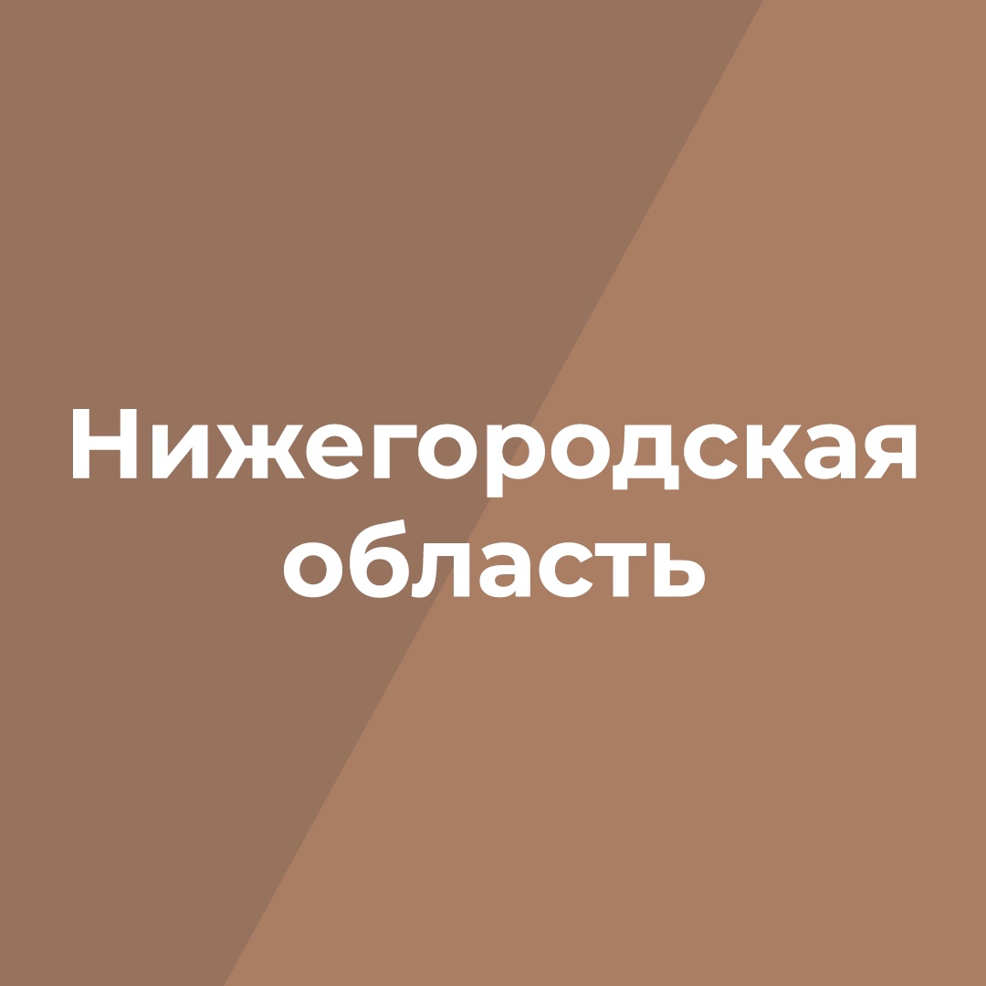 Правительство Нижегородской области 