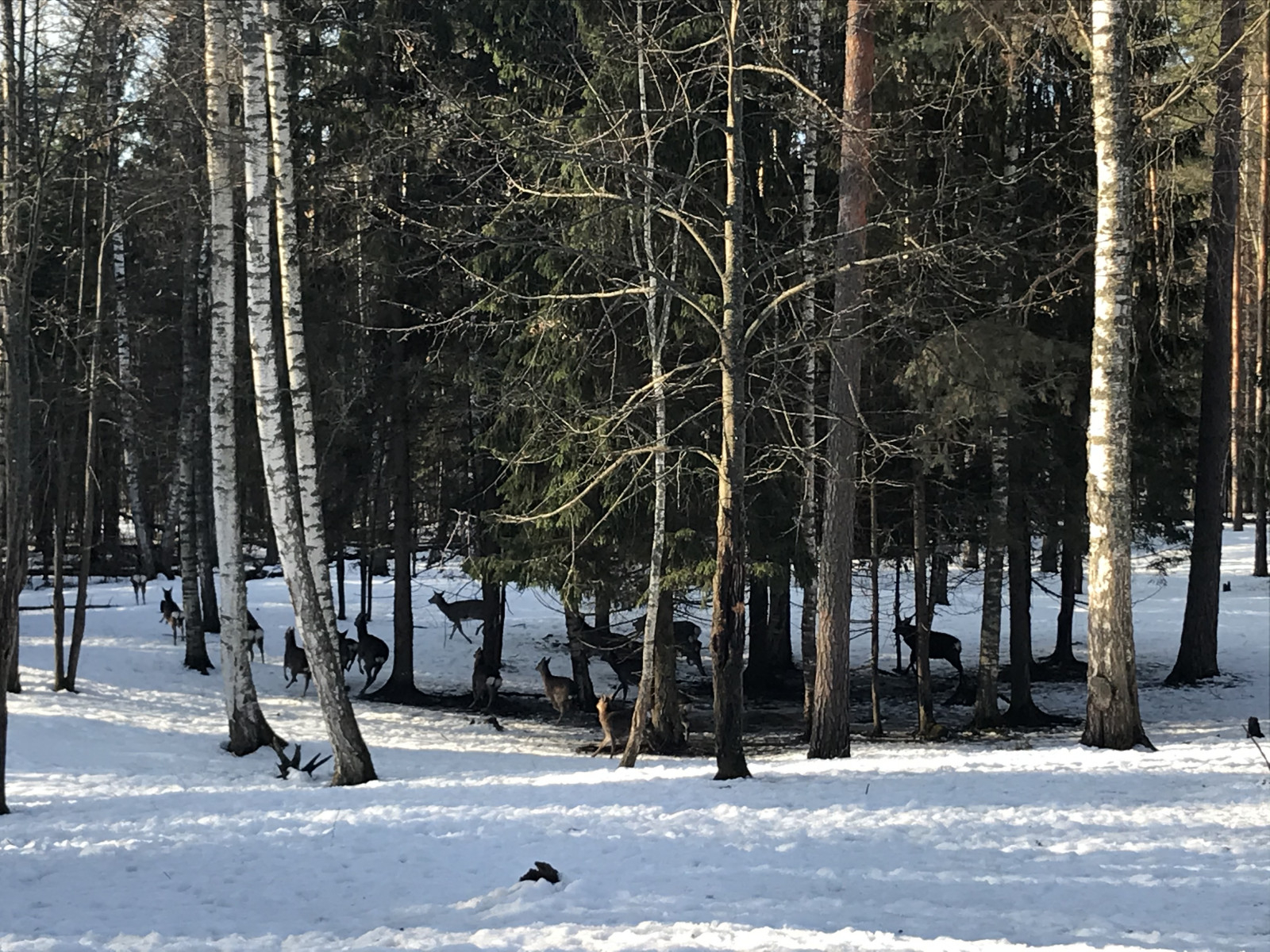 Новый мир нижегородская область